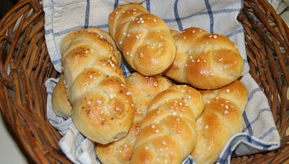 Houstičky, moje první  houstičky