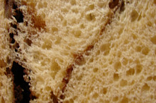 Detail pórů