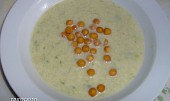 Krémová pórková polévka (dnešní polévka)