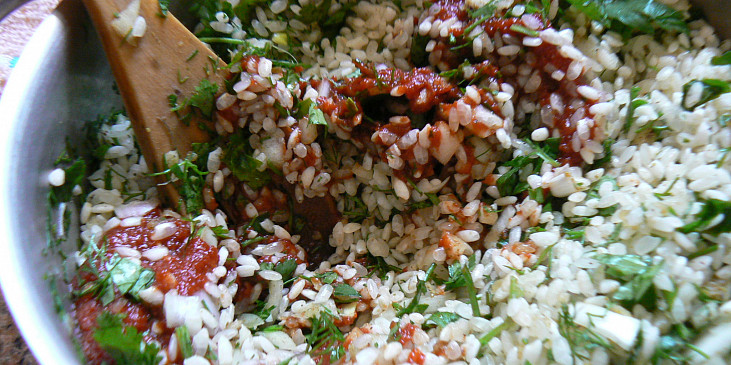 Mahshi v baklažáne (egyptský recept) (2 PL paradajkového pretlaku)
