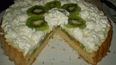 Ovocný dort s tvarohovopudinkovým krémem, Ovocný dort s tvarohovo pudinkovým krémem