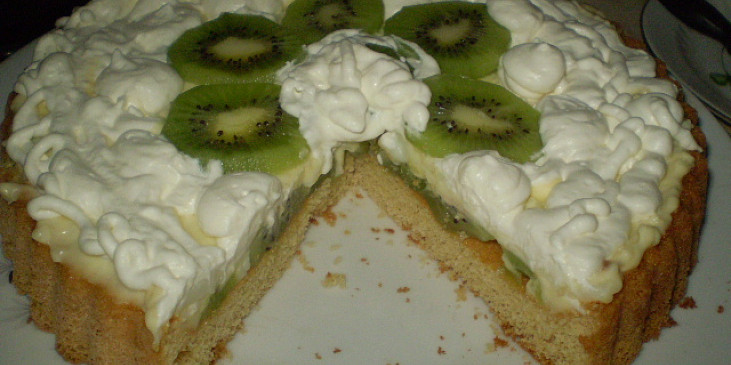 Ovocný dort s tvarohovo pudinkovým krémem