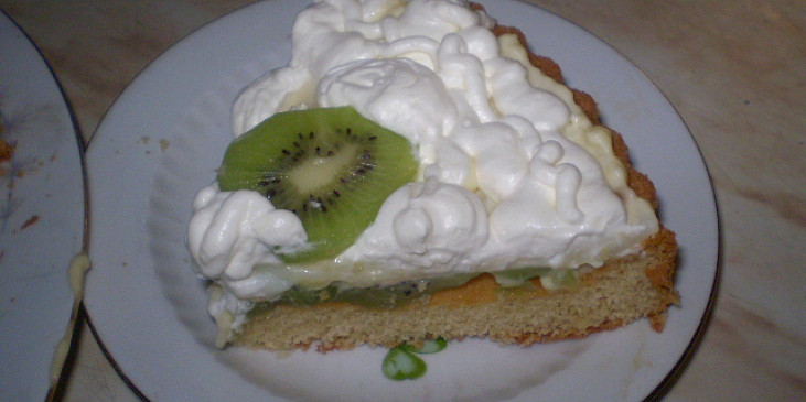 Ovocný dort s tvarohovopudinkovým krémem (porcička...)