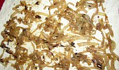Slaninové vdolečky s cibulí a sýrem (rozválený plát těsta potřený cibulí)