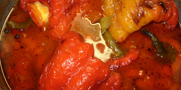 Zapečené,plněné papriky na bazalce s oreganem (vyndáno z trouby...)