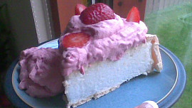 Dort  Pavlova