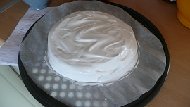 Dort Pavlova