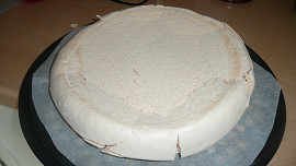 Dort Pavlova