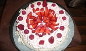 Dort Pavlova