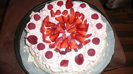 Dort  Pavlova