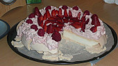 Dort Pavlova (na rezu)