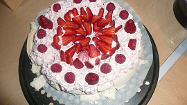 Dort  Pavlova