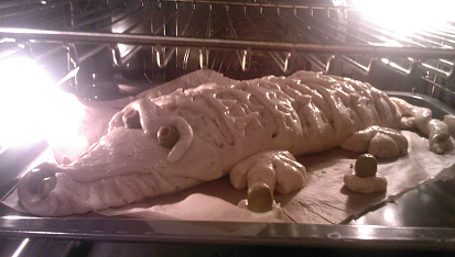 Krokodýl