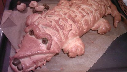 Krokodýl