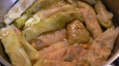 Mahshi cromb - plněné zelné listy směsí rýže (egyptský recept) (po 30 minútach by mala byť ryža v kapustných listoch uvarená)