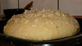 Mazanec