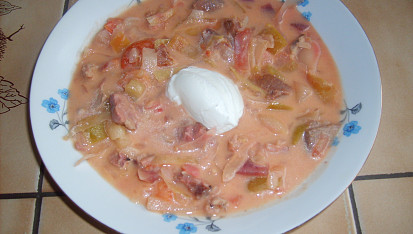 Rychlý boršč
