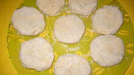 Sójové karbanátky