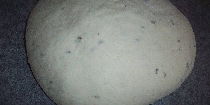 Domácí chléb (před pečením)