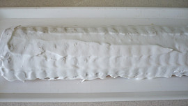 Dvojbarevný srnčí hřbet