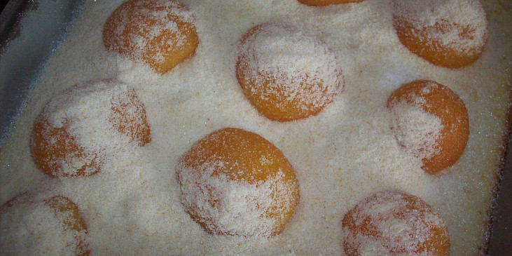 Hrníčkové meruňkové řezy (zasypáno vanilkovým cukrem a strouhankou)