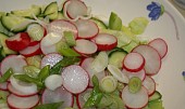 Jednoduchý salát  s ředkvičkami a okurkou