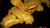 Krokodýl (hotový dráček)