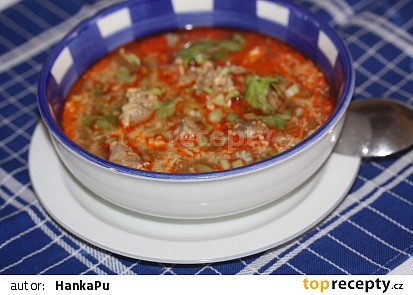 Polévka na způsob ragú