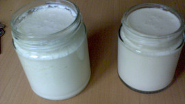 Domácí sójový jogurt