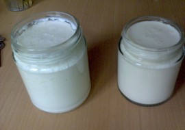 Domácí sójový jogurt