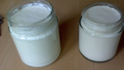 Domácí sójový jogurt