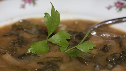 Kapustová polévka s hlívou, Kapustová polévka s hlívou