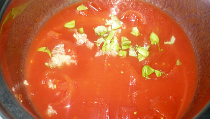 Lilková pochoutka (parmiggiana)