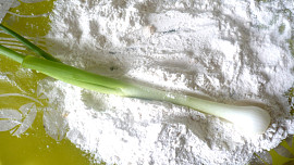 Mladá cibulka v trojobalu