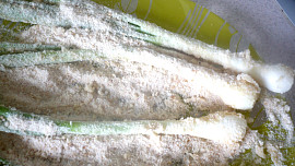 Mladá cibulka v trojobalu