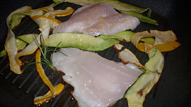 Pangasius v cuketovém hnízdě