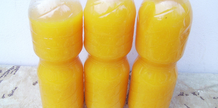 Pomerančovo-citronový džus (džus stočený do lahví)