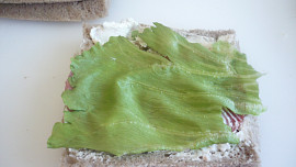 Roládky z toustového chleba