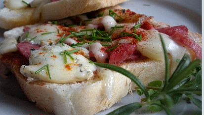 Rychlo pizza