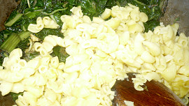 Těstoviny s mangoldem