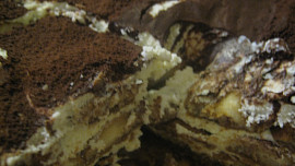 Tiramisu po česku