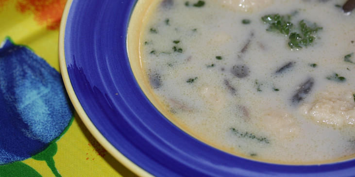 Žampionová polévka jednoduchá a chutná