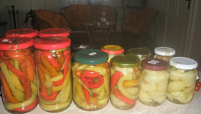 Beraní rohy