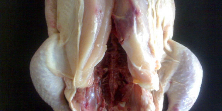 rozpůlené kuře mezi prsíčky