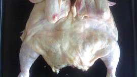 Čabajkové nadívané kuře