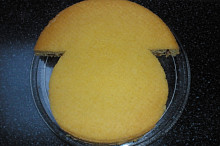 vyříznutý