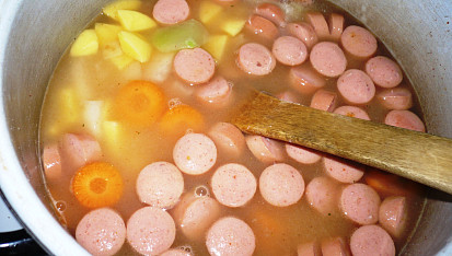 Frankfurtská polévka II.