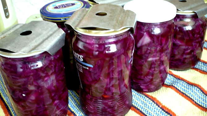 Kanadské zelí