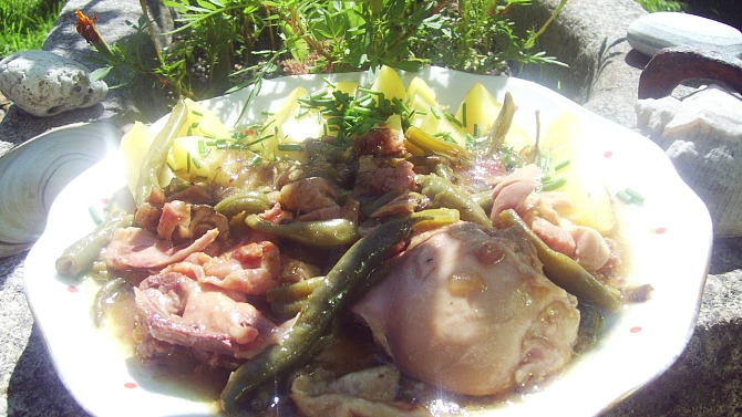 Kuřecí maso na zelených fazolkách, houbách a kopru, Kuřecí maso na zelených fazolkách,houbách a kopru