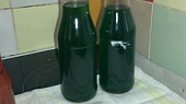 Mátový sirup - vařený, sterilovaný
